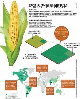 13家种企获转基因玉米种子生产经营许可证！