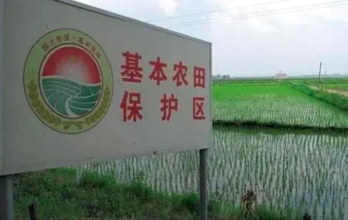 中国耕地布局从“南减北增”转为“南北双增”