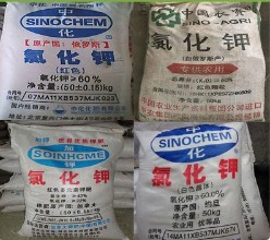 植物用纳米农用化学品的尺度效应