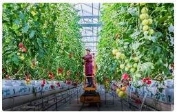 山东努力在农业强国建设中“走在前、挑大梁”