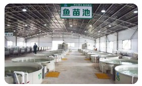 水产种业振兴取得积极进展