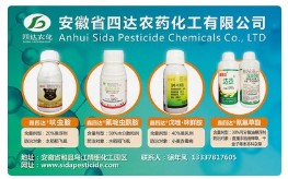 近5年国内农药原药登记增加明显，其中2024年激增169.09%