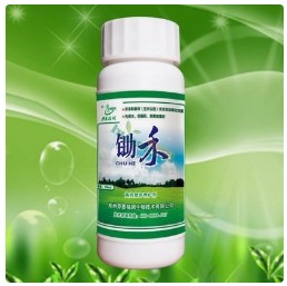 除草剂安全剂越来越受重视！盘点常用的除草剂安全剂品种