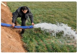 小麦专家田间会诊，抢灌抗旱促春耕