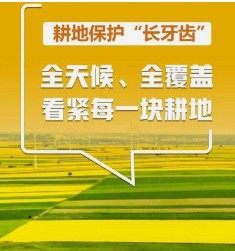 我国耕地保护制度体系逐步完善