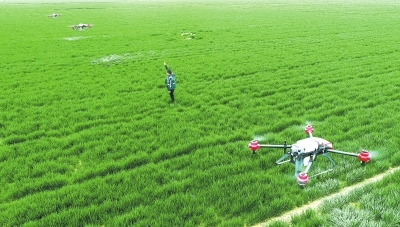 农业农村部实施奋战120天抓春管提单产夺夏收粮油丰收行动