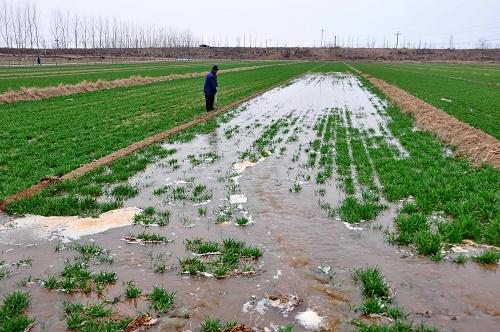 水利部全面部署各地春灌保障工作