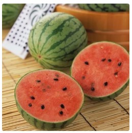 北京市农业农村局携手市农林科学院 助力科技示范服务体系升级