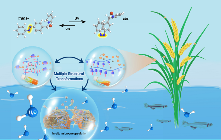 新型农药增效剂 中国农科院植保所研发成功新型农药递送系统