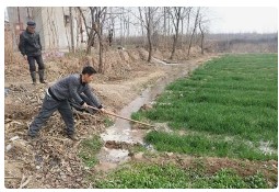 全国春灌面积突破2600万亩 水利部门精细化调度护航粮食安全