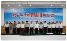 新疆长绒棉种植及其籽棉加工方法在美国获得发明专利授权