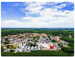 科技赋能春耕春管 绘就夏收好“丰”景