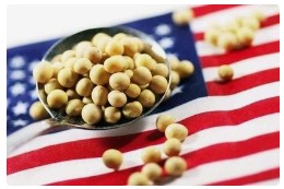 近8年中国逐步降低美豆依赖，2024年从美国进口比例降至21.1%