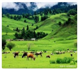 中国与阿根廷签署价值约9亿美元农产品的采购意向书