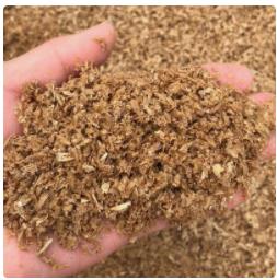 饲料原料市场：中国和巴西签署玉米酒糟粕贸易协议