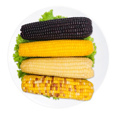 墨西哥废止转基因玉米禁令