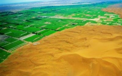 祖国的“西部粮仓”- 新疆