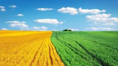 今年中国农业生产将保持向好态势