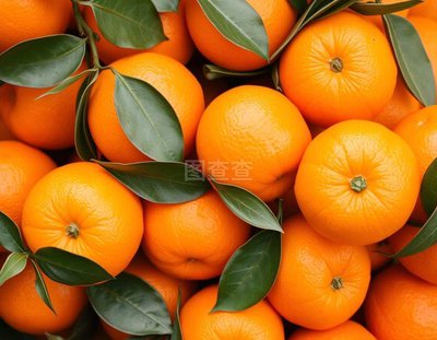 柑橘黄龙病防控药剂的多元化探索：从传统抗生素到靶向药、免疫诱导、纳米化及抗菌肽